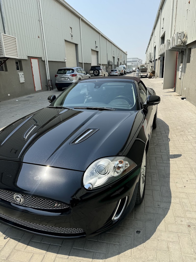 تصویر شماره 8