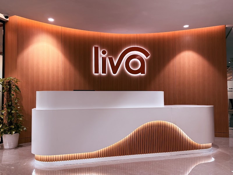 Lava Insurance Company | Dubai