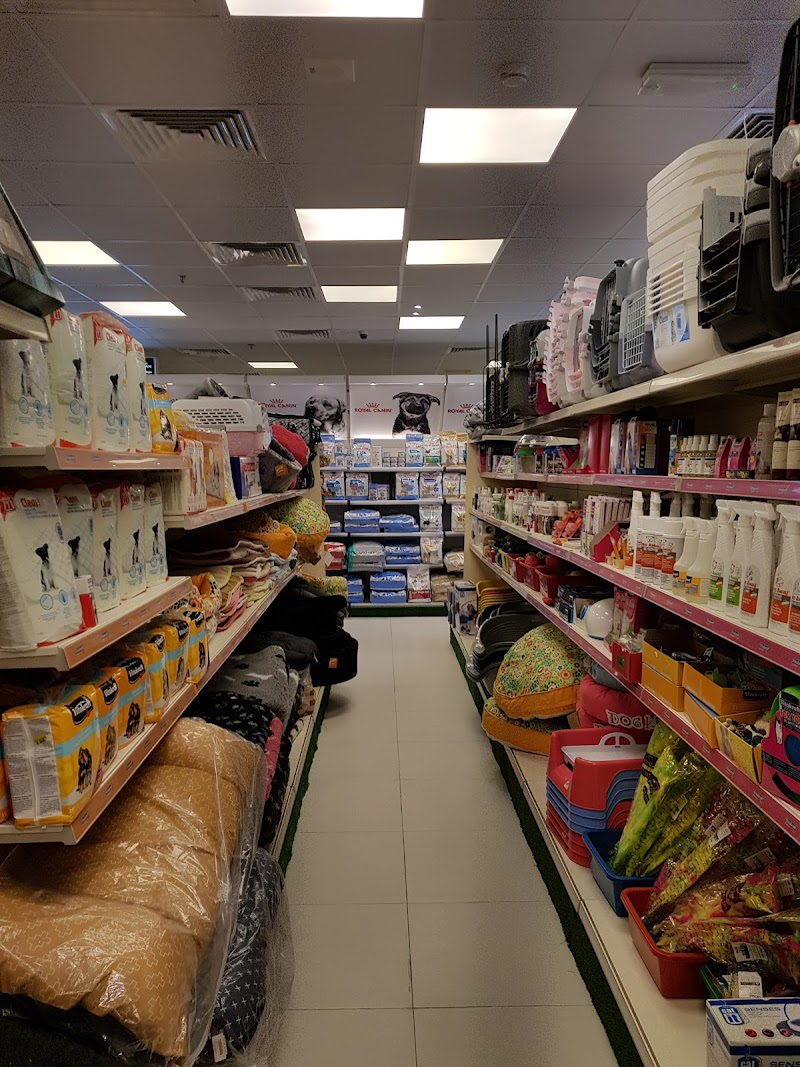 تصویر شماره 2