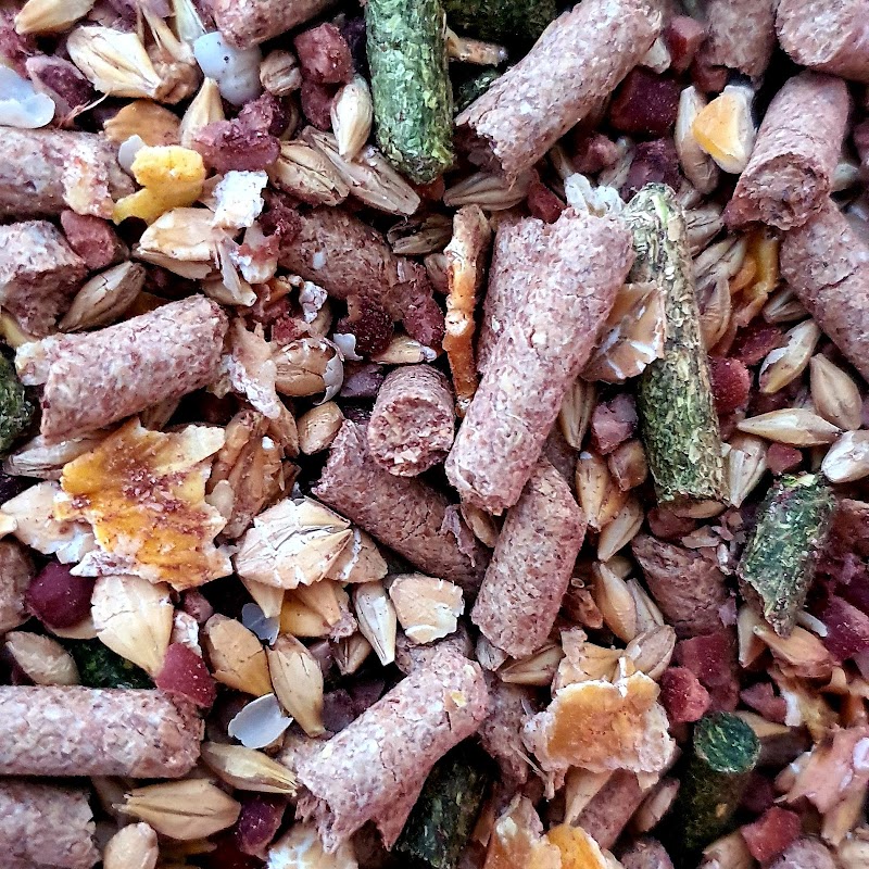 تصویر شماره 2