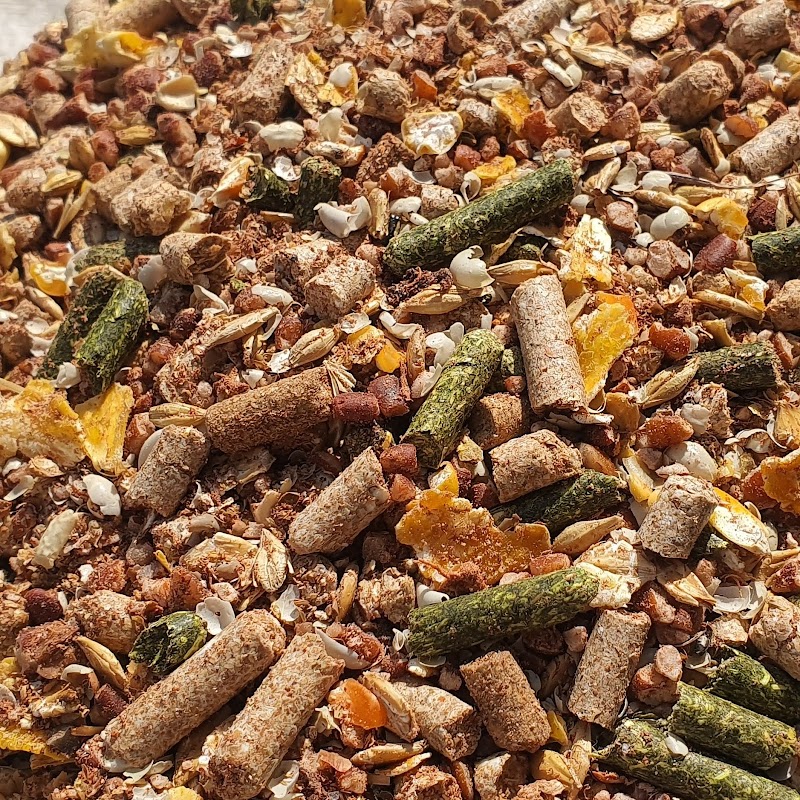 تصویر شماره 4