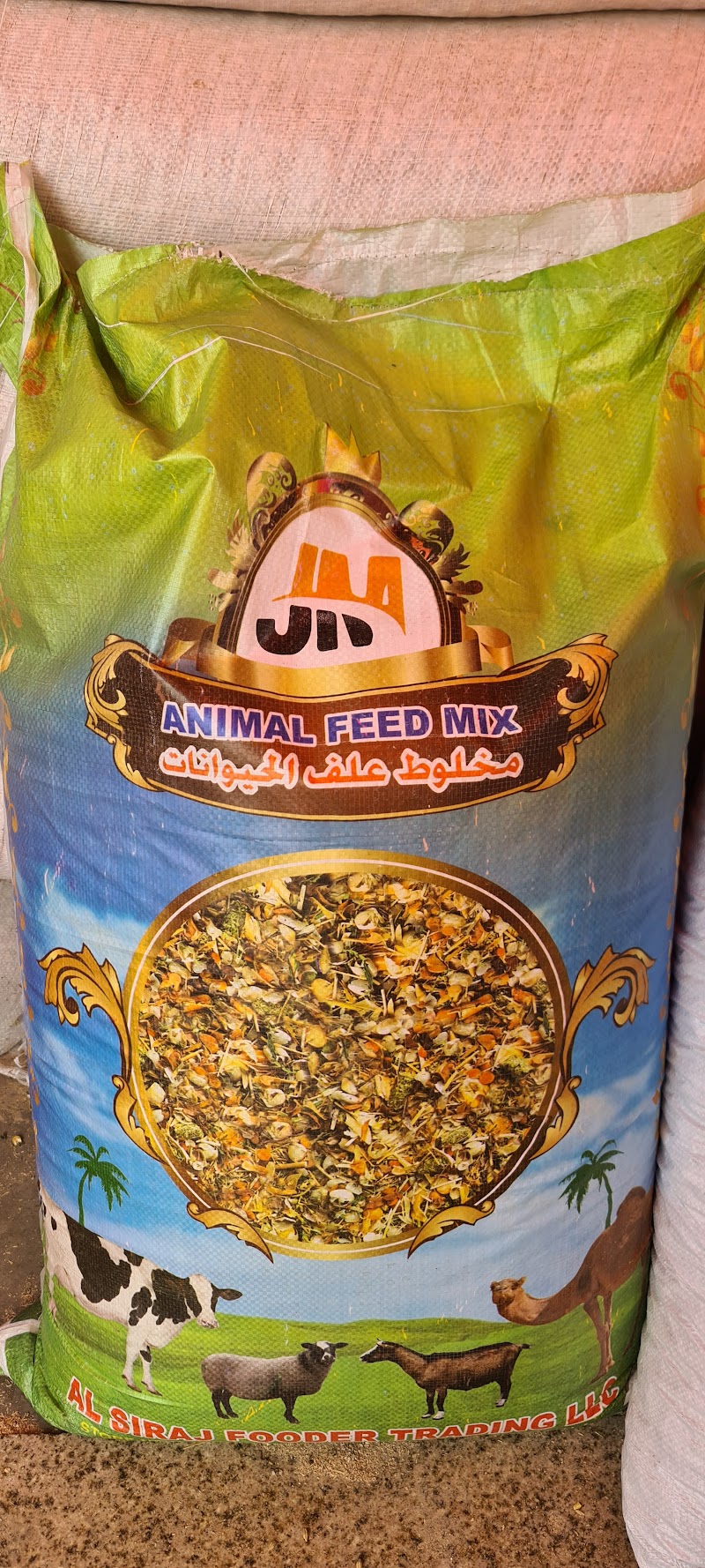 تصویر شماره 4