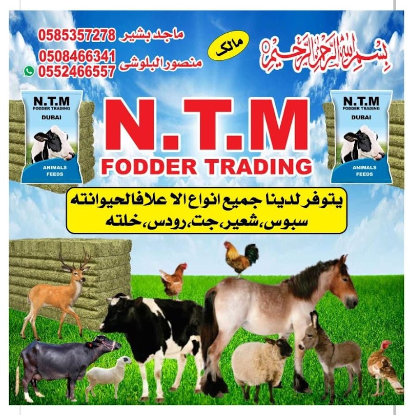 تصویر شماره 2