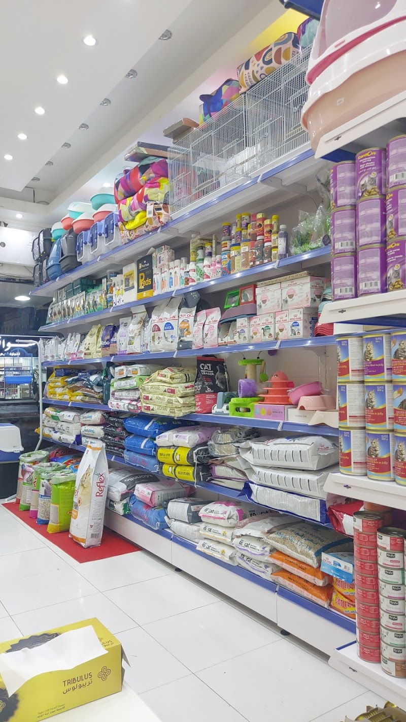 تصویر شماره 2