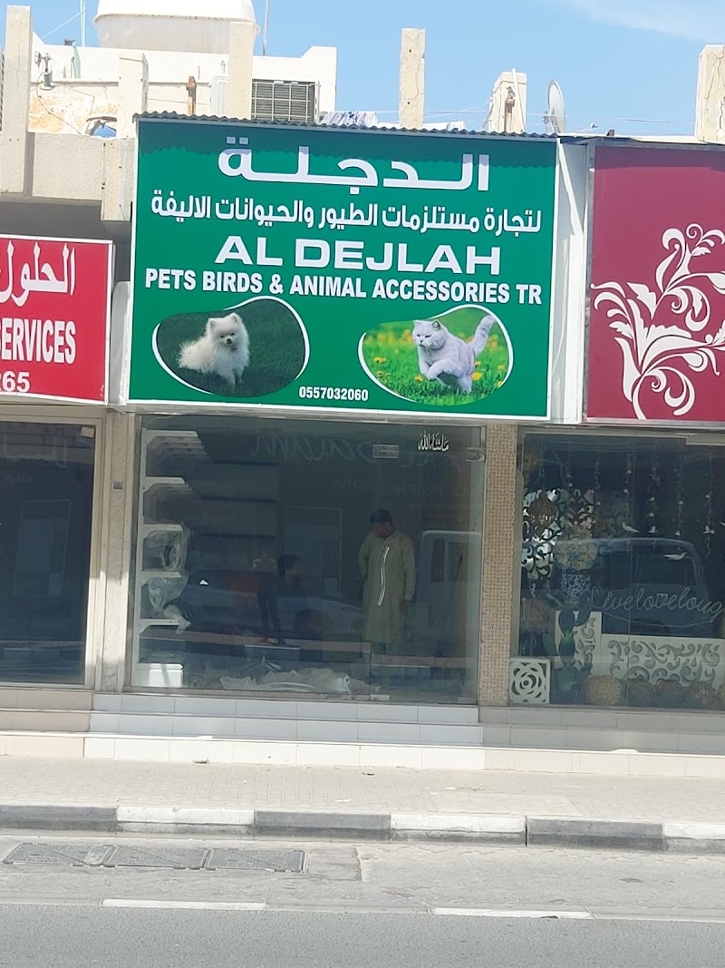 تصویر شماره 4