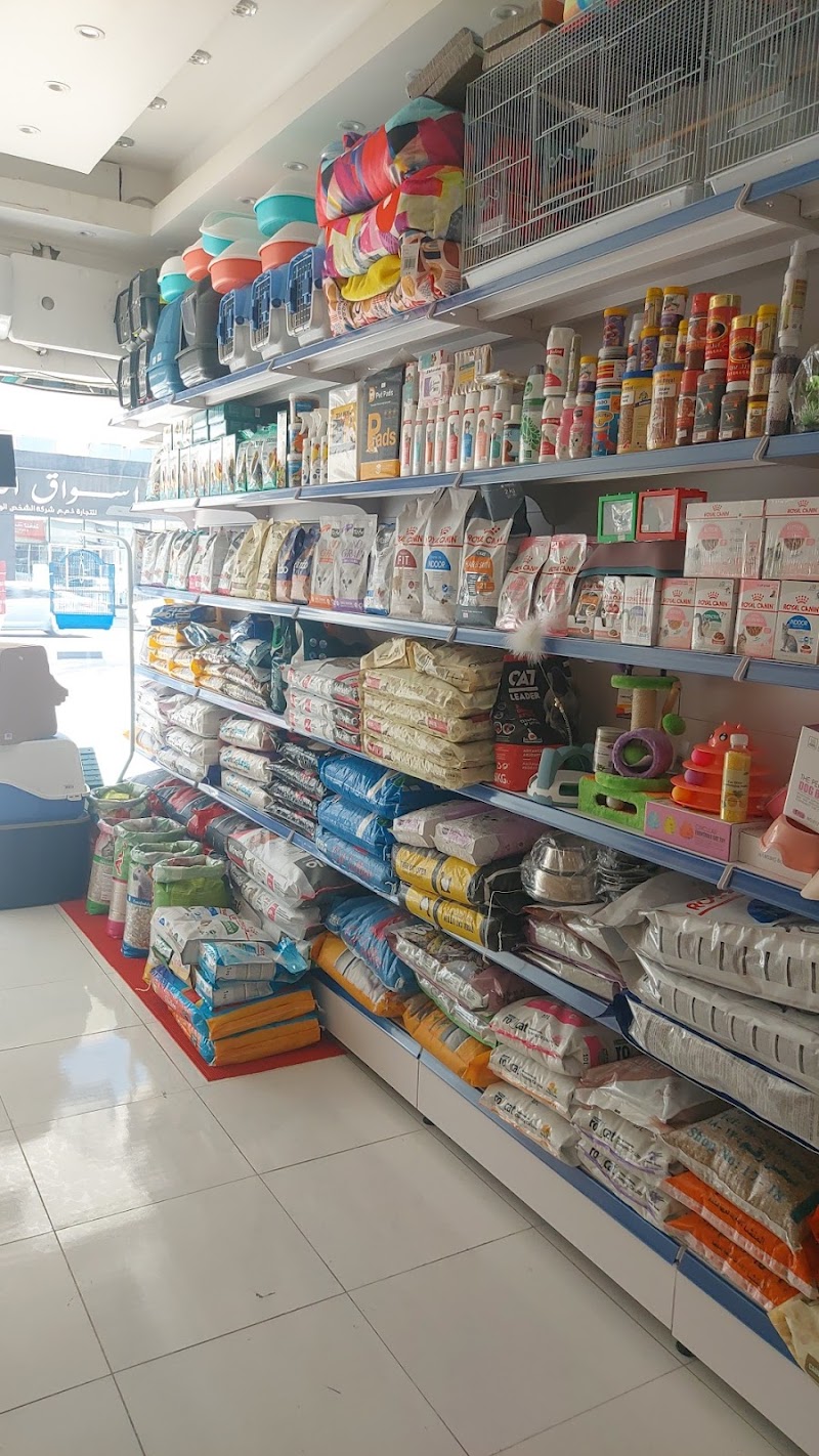تصویر شماره 5