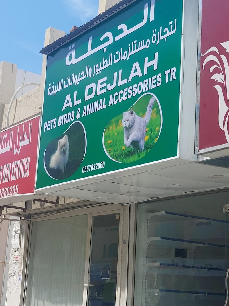 تصویر شماره 7