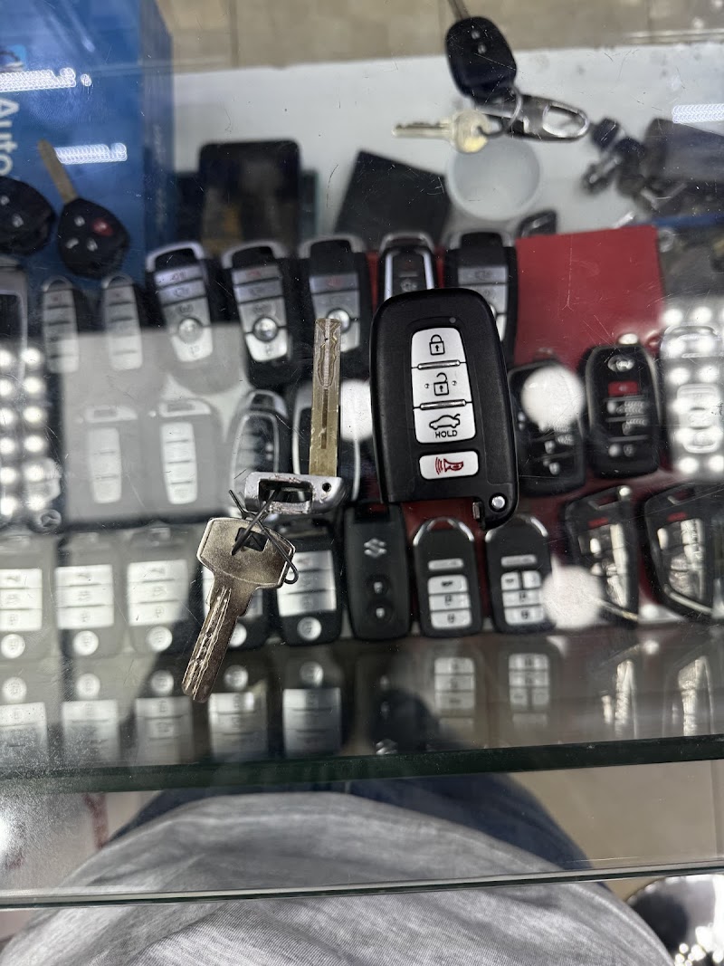 تصویر شماره 8