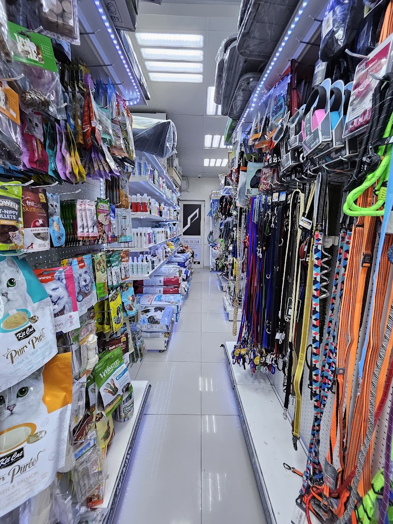 تصویر شماره 8