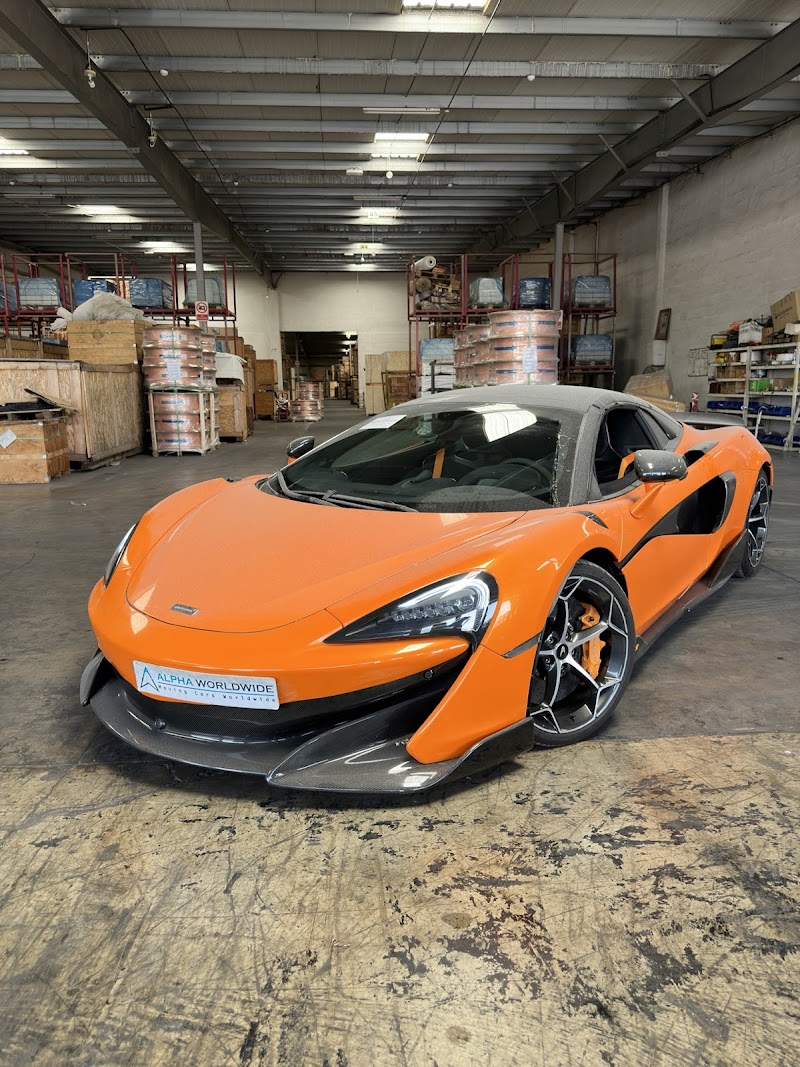 Azienda di trasporto auto Alfa Worldwide | Dubai