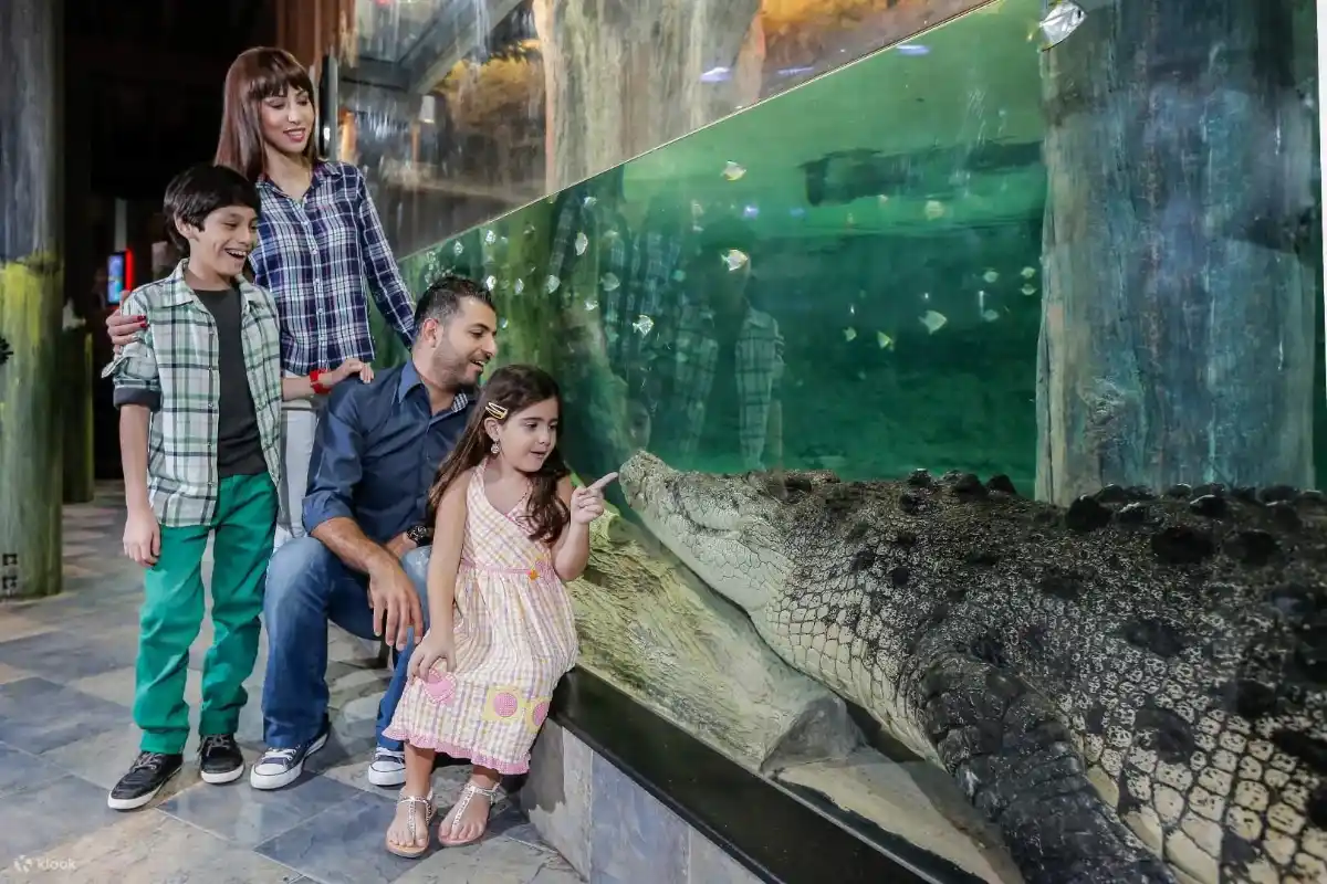 水下水族馆和动物园的设施