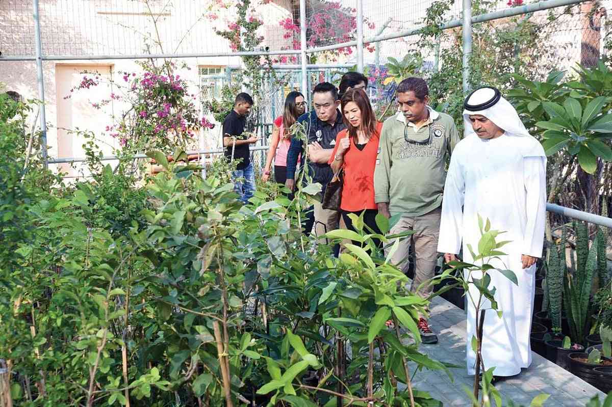 گردشگری پایدار در مزارع امارات: تجربه‌ای بی‌نظیر در زمستان